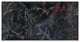 "Cardinal Chalkboard" Digital Paper Print by Danhui Nai, 38"x20"