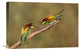 "The Territory" Stretched Canvas Giclee by Amnon Eichelberg, 22x15"