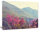 Pink Blossoming Flowers in Mountains, Floral Canvas Art Print, 60"x28"