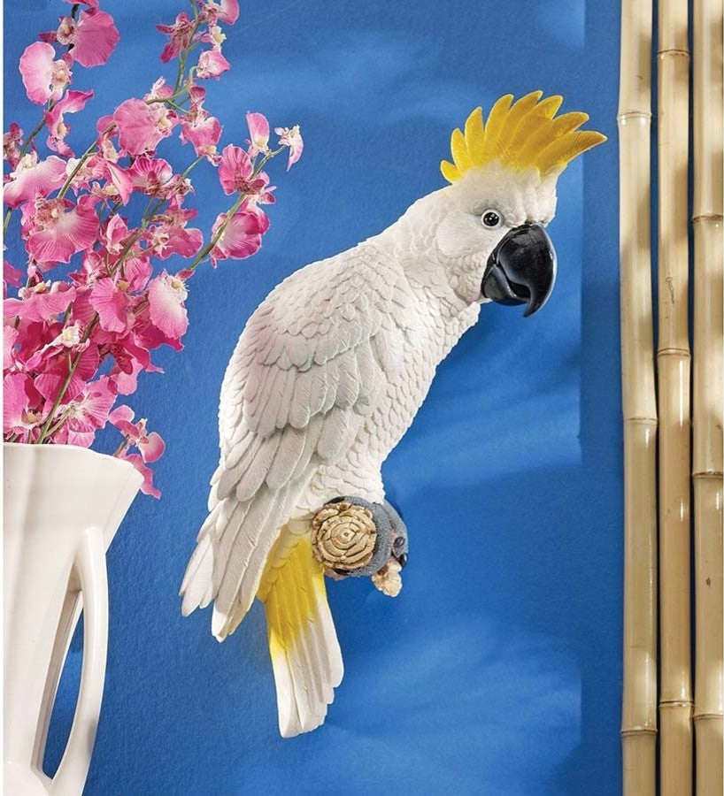 Sulphur Crested Cockatoo