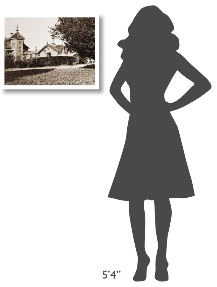 "Residence of Mr. Howard, San Mateo, Olive Tree, 1863-1880" Paper Art, 24"x19"