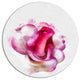 Red Rose With White Watercolor, Floral Disc Metal Wall Art, 11"