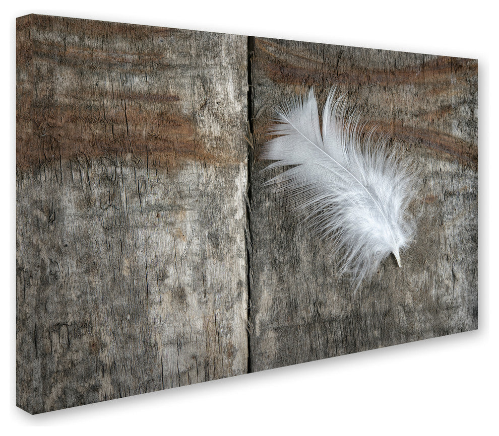 Cora Niele 'Feather on Wood II' Canvas Art