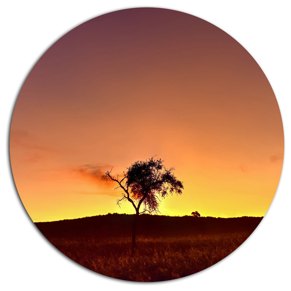 Solitary Tree In Namib Desert, African Landscape Disc Artwork, 23"