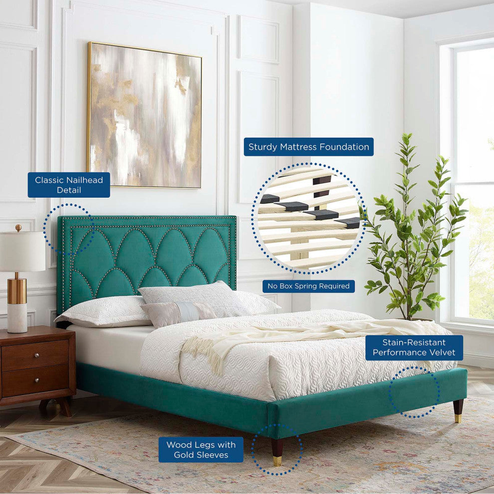 Platform Bed Frame, Nailhead, Queen Size, Teal Blue, Velvet, Modern