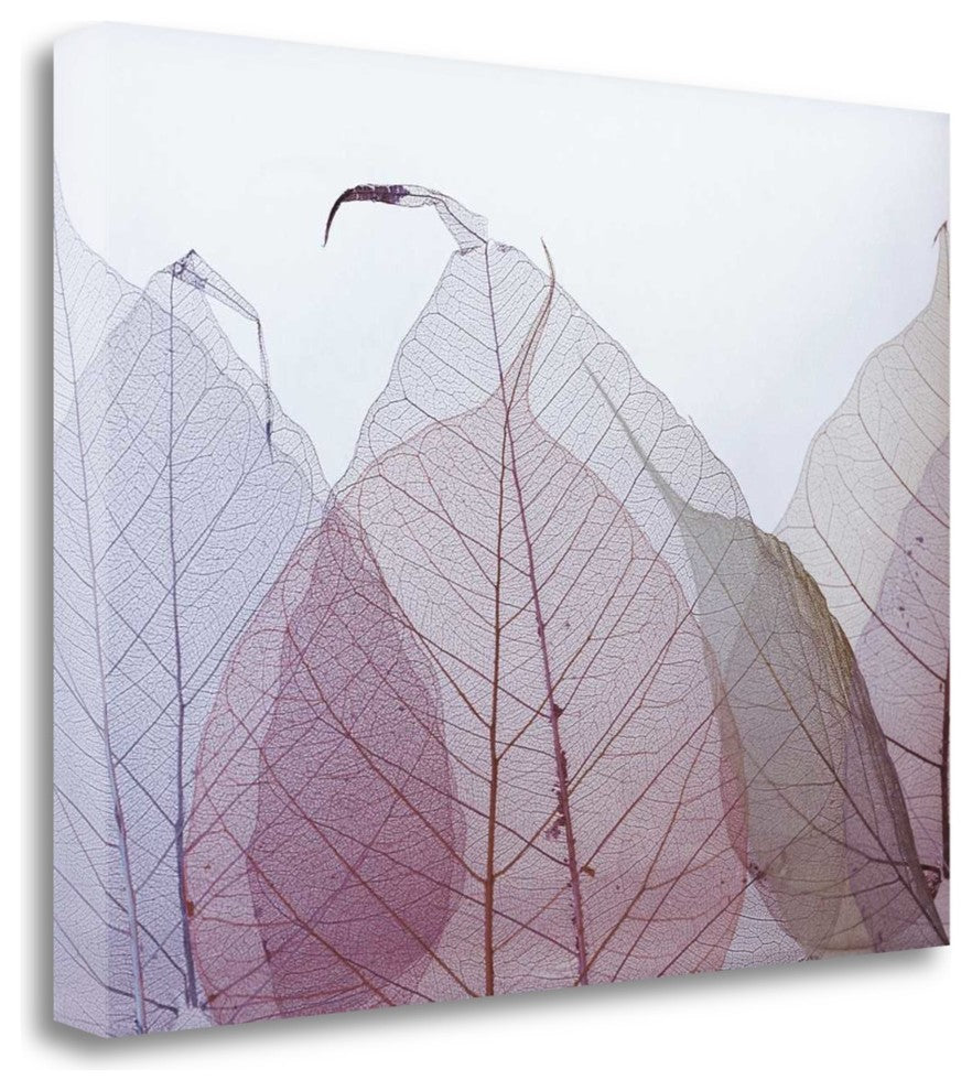 "Chardonnay" By Durwood Zedd, Giclee Print on Gallery Wrap Canvas, Ready to Hang
