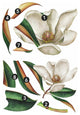 Vintage Magnolia Peel And Stick Giant Wall Decals