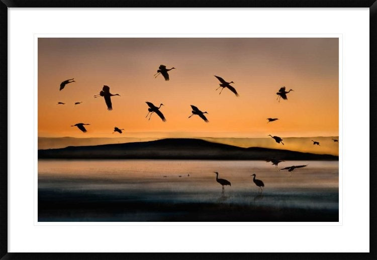 "Fly-In At Sunset" Framed Digital Print by Shenshen Dou, 38"x26"