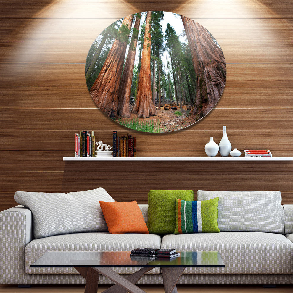 Three Sequoya Trees, African Landscape Round Metal Wall Art, 11"