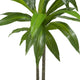 48" Dracaena With Basket Silk Plant, Real Touch