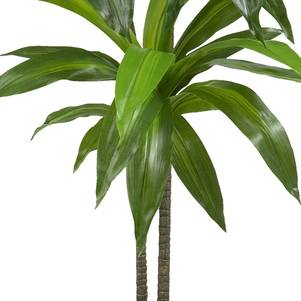 Close-up crop of leaves and trunk on white background