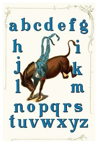 Democratic Party Alphabet- Gallery Wrapped Canvas Art 28" x 42"