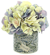 Hydrangea in a Glass Label Vase