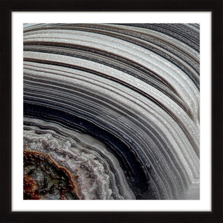 "Age Rings" Framed Art Print