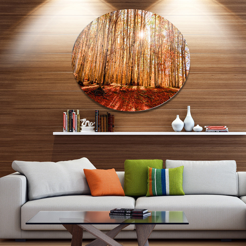 Bright Sun Over Thick Fall Forest, Forest Large Disc Metal Artwork, 11"