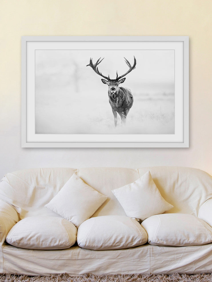 "Elk Stare" Framed Art Print, 91x61 cm