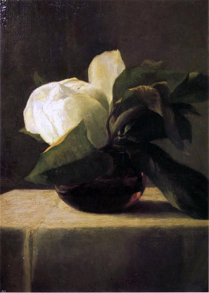John La Farge Magnolia, Gallery Wrapped Canvas Print, 18"x27"
