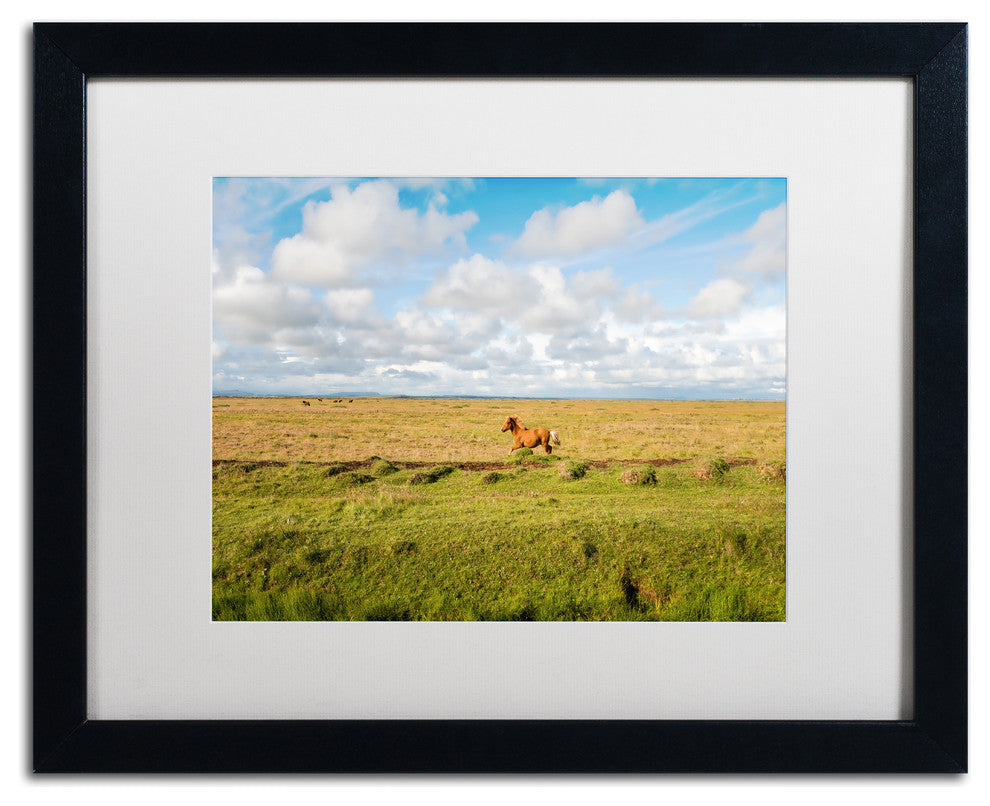 Philippe Sainte-Laudy 'Free as a Horse' Matted Framed Art