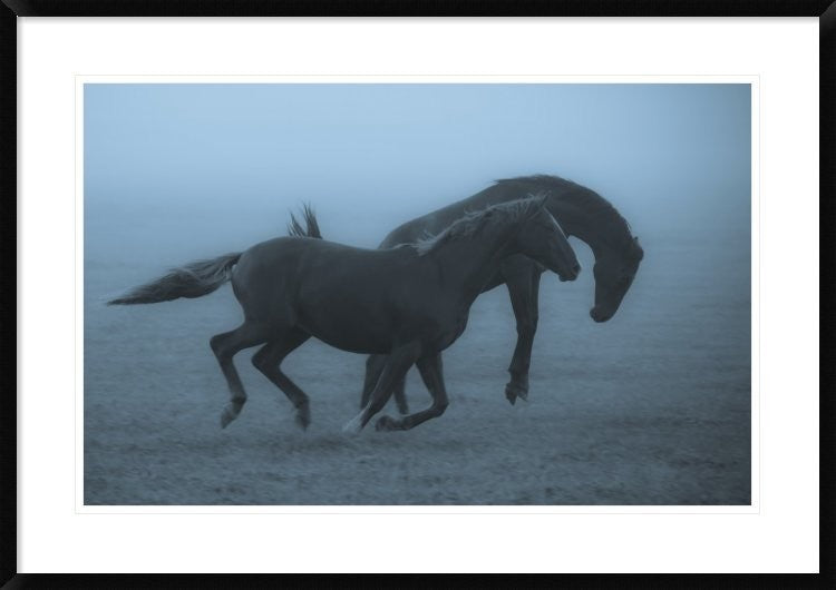 "Horses In The Fog" Framed Digital Print by Allan Wallberg, 38"x26"