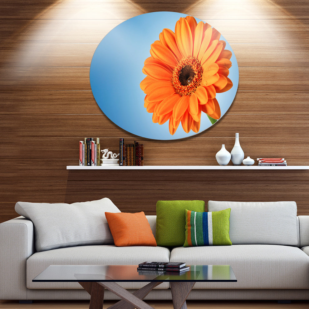 Orange Daisy Gerbera Flower On Blue, Floral Disc Metal Wall Art, 23"