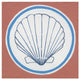"Summer Shells II" Digital Paper Print by Kathrine Lovell, 42"x42"