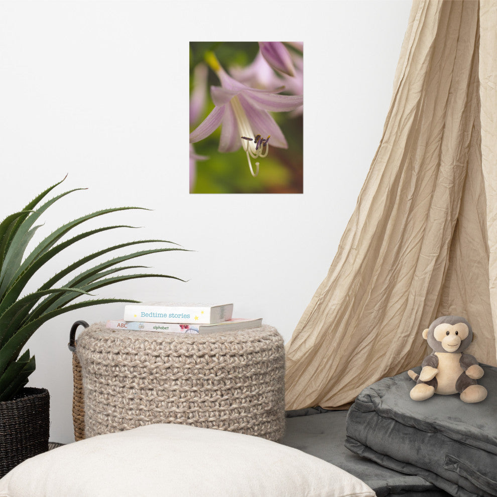 Close-up Hosta Bloom Nature Photography, Floral Unframed Wall Art Print, 12" X 16"