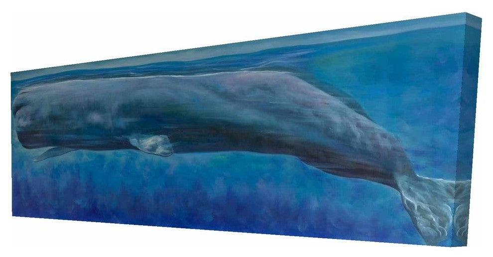 Sperm Whale Print on Wrapped Canvas