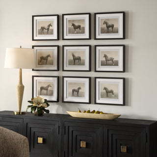 Uttermost - 32343 - Framed Prints, S/9 - Equine Dynasty - Dark Walnut