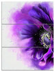 Purple Stylized Watercolor Poppy, Floral Triptych Canvas Print, 28x36, 3 Panels