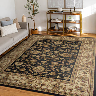 Gabrielle Traditional Oriental Black Rectangle Area Rug, 9' x 12'