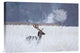 "Fallow Deer In The Frozen Winter Landscape" Canvas by Allan Wallberg, 18x12"