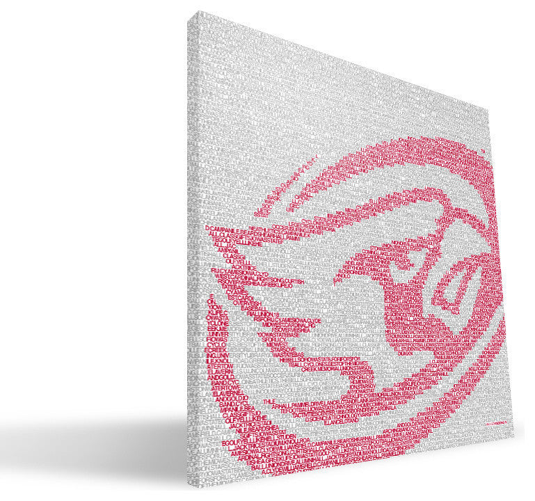 IWS Cyclones Typo Canvas Print, 16"x16"