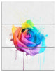 Multicolor Watercolor Rose Flower, Floral Triptych Canvas Print, 28x36, 3 Panels