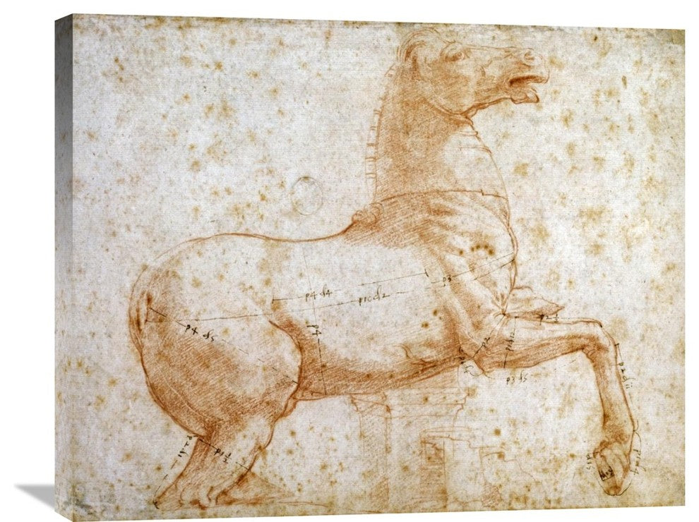"Study of One of The Quirinal Marble Horses" Canvas Giclee by Raphael, 30"x24"
