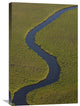 "Papyrus Swamps And Channel, Aerial View, Africa" Artwork, 20" x 30"