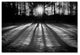 PIPA Fine Art 'Winter Shadows' Canvas Art, 47x30