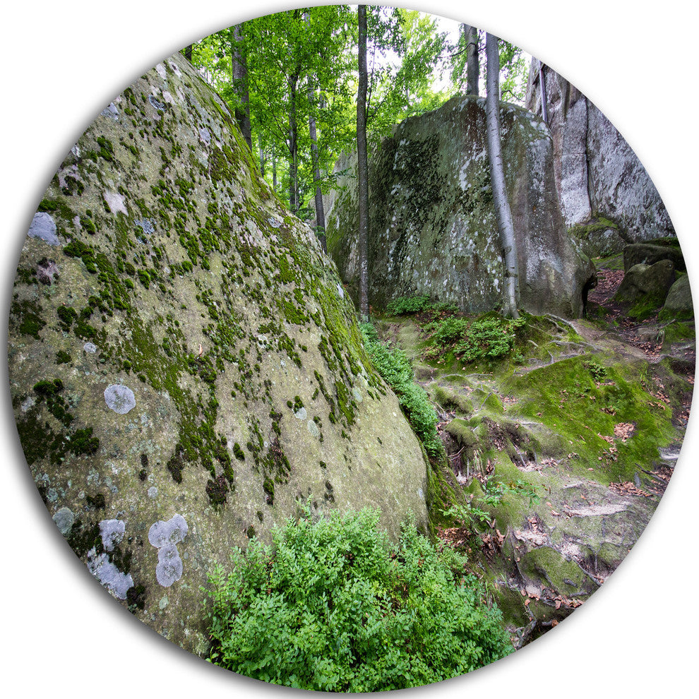 Rocky Deep Moss Forest Ukraine, Landscape Disc Metal Wall Art, 23"