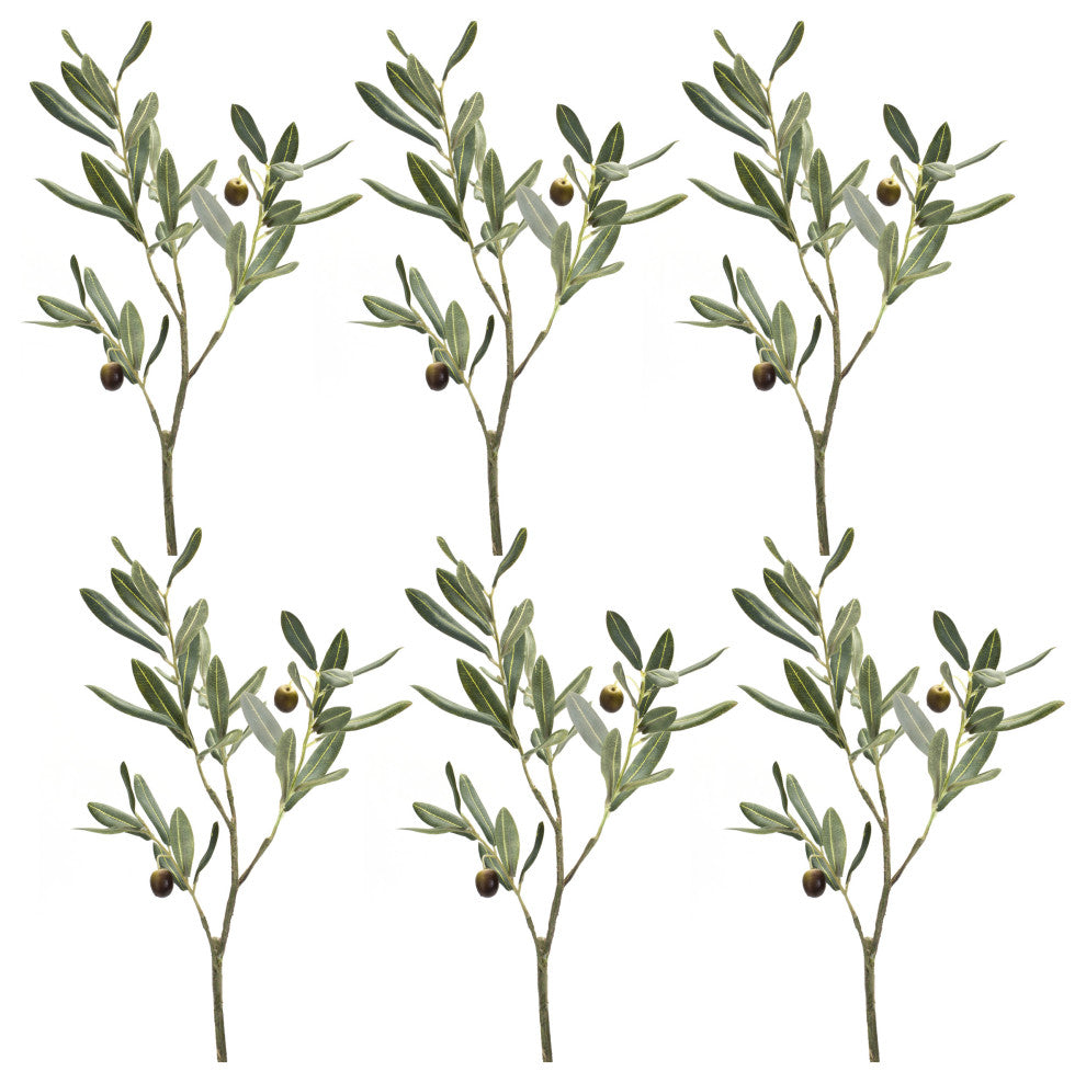 Olive Spray, Set of 6