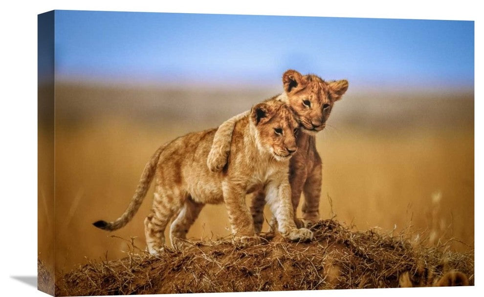 "Brothers For Life" Stretched Canvas Giclee by Jeffrey C. Sink, 22x15"