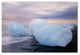 Philippe Sainte-Laudy ''Ephemeral Beauty'' Canvas Art
