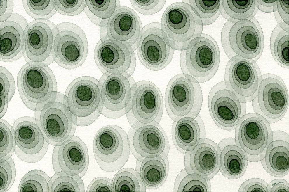 Marmont Hill, "Earthy Green Ovals" by Nikki Galapon on Wrapped Canvas, 18x12