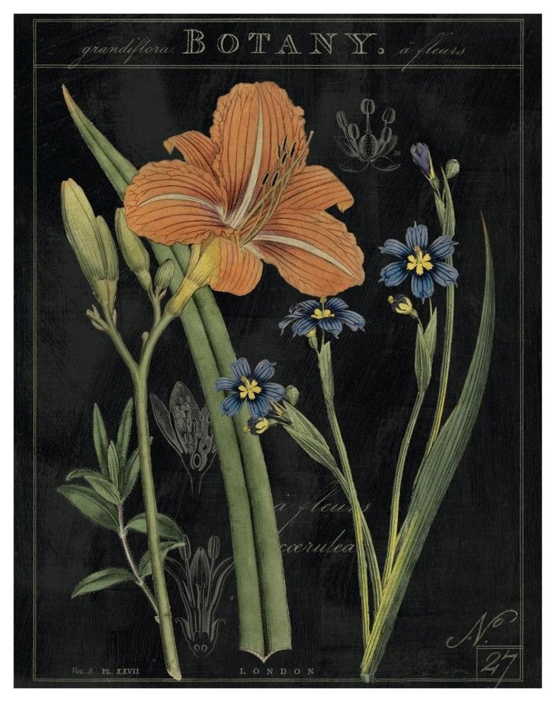 "Vintage Flora II" Digital Paper Print by Sue Schlabach, 30"x37"