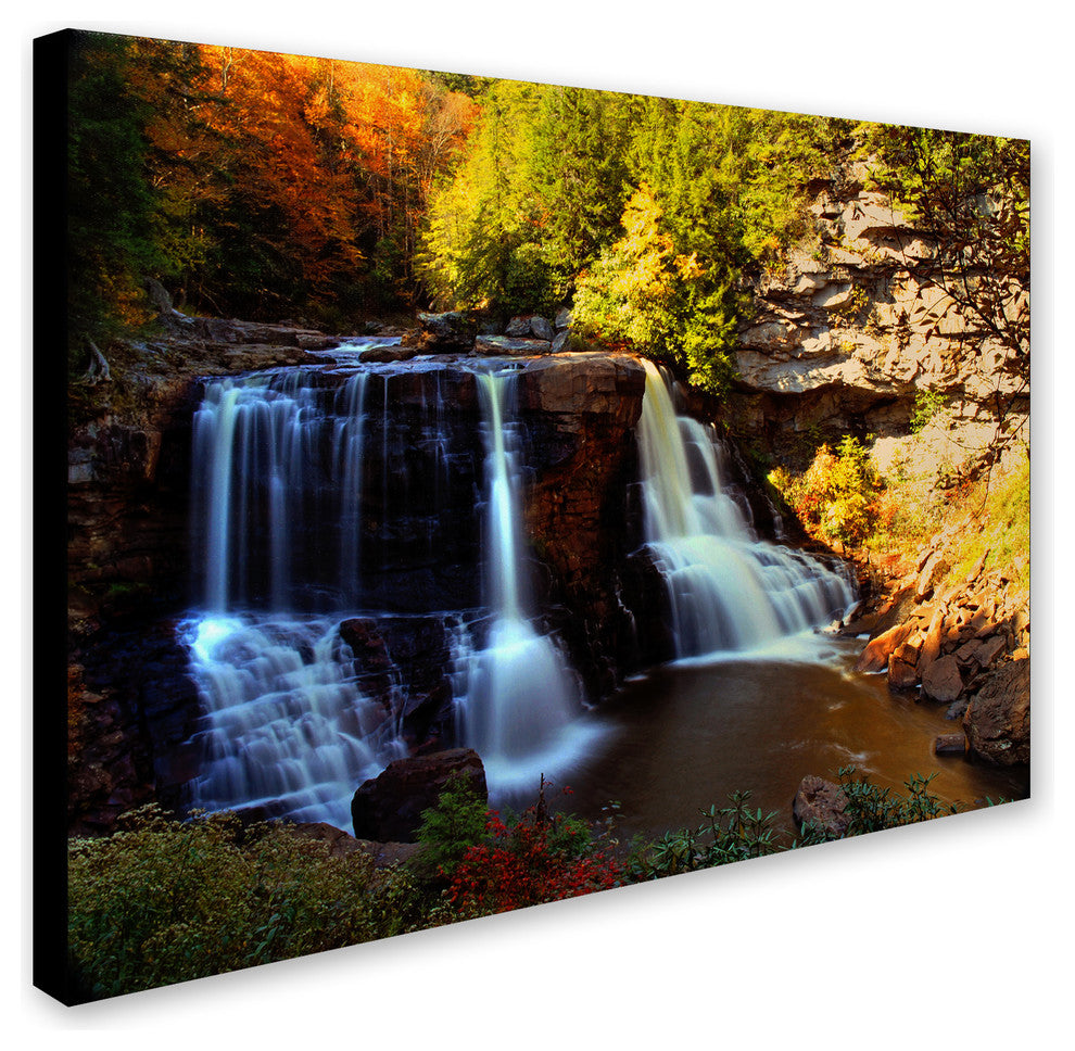 'Motion' Canvas Art by CATeyes