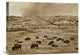 "American Bison Herd, Theodore Roosevelt National Park, North Dakota" Artwork