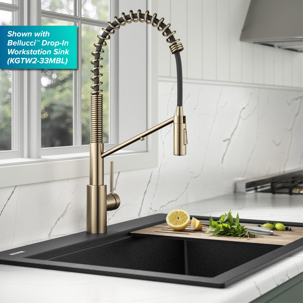 Oletto Commercial Pull-Down Filter Kitchen Faucet, SFACB