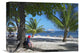 "Tourist Resting At Palmetto Bay, Roatan Island, Honduras" Artwork