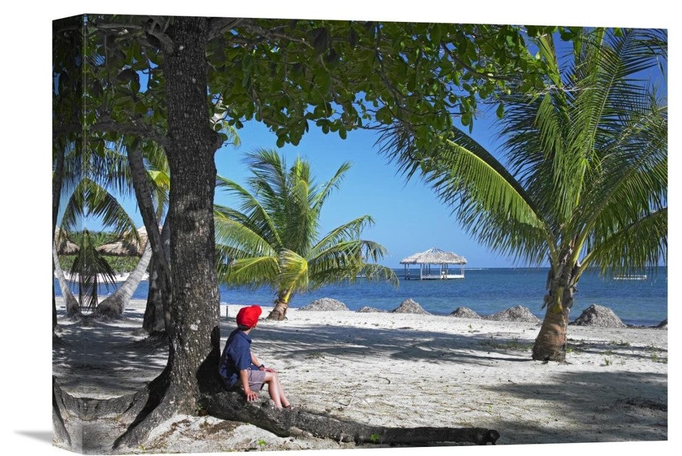 "Tourist Resting At Palmetto Bay, Roatan Island, Honduras" Artwork
