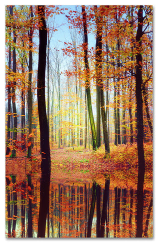 'Fall Mirror' Canvas Art by Philippe Sainte-Laudy
