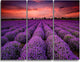 "Red Sunset Over Lavender Field" Metal Wall Landscape, 3 Panels, 36"x28"
