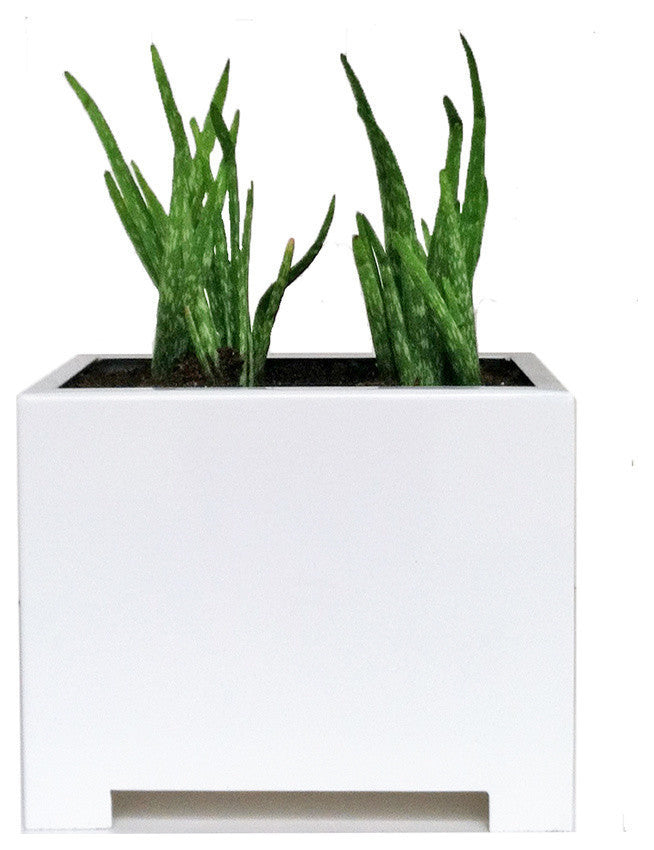 Alora Rectangle Planter, White